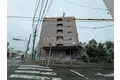 コーポゆの木