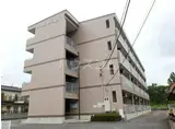 アイランドマンション