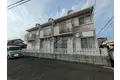 シオン花咲