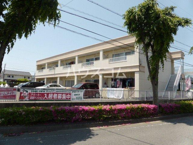 ゴールデンドーン