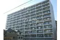 日商岩井国立マンション
