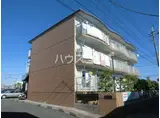 市川カトレアハイツ松塚