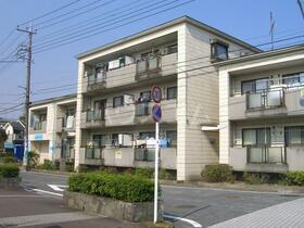 ホワイトプラム