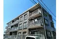 ニューライフ学園