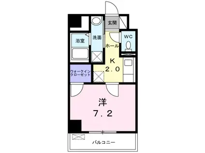 グランデ ピーノ 大師(1K/6階)の間取り写真