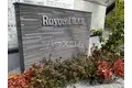 ROYGENT東大泉