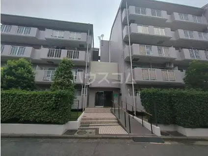 フレグランス中川(3LDK/4階)の外観写真