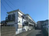 ホワイトビーズセブン