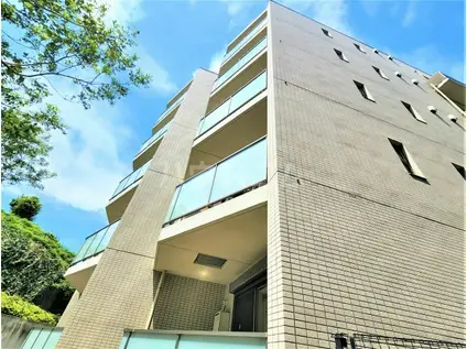 シャトーエミール(1LDK/5階)の外観写真