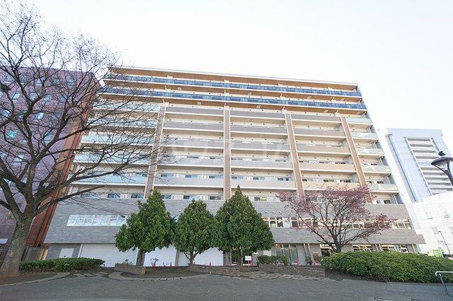 ステラテラス