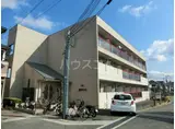 サニーステージヒカリ