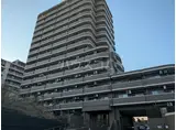 フォルスコート藤沢善行
