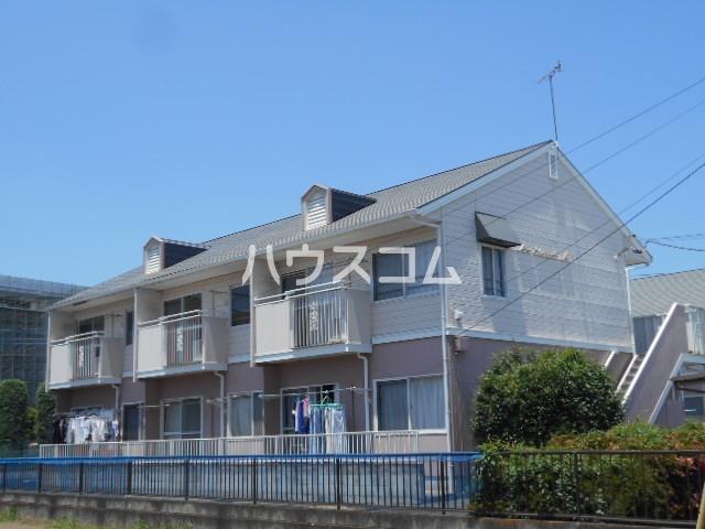 アルスしまだ