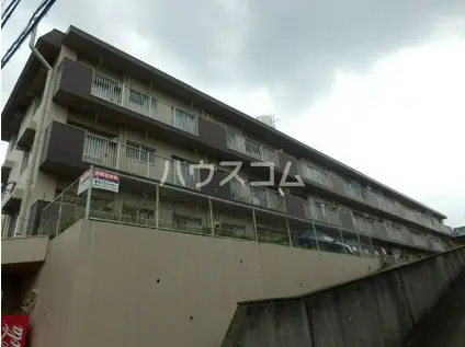 メゾンほら貝(2DK/3階)の間取り写真