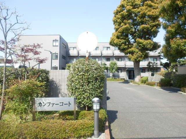 カンファーコート