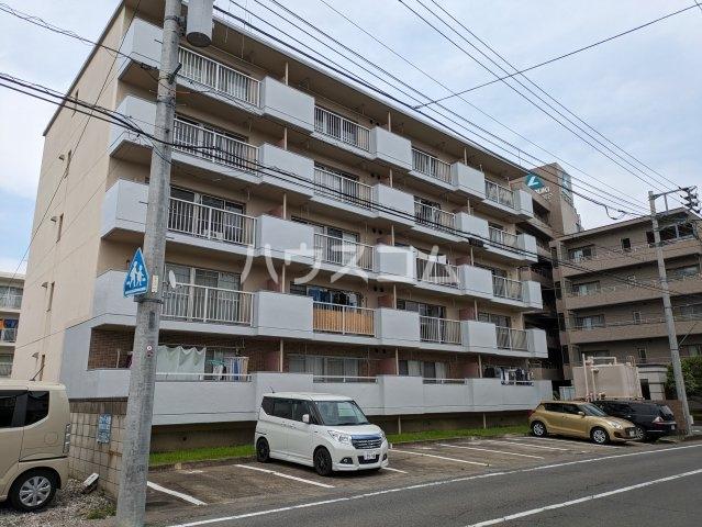 チェルシーⅡ