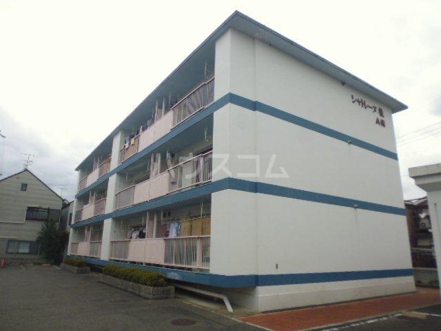 シャトレーヌ桂A棟