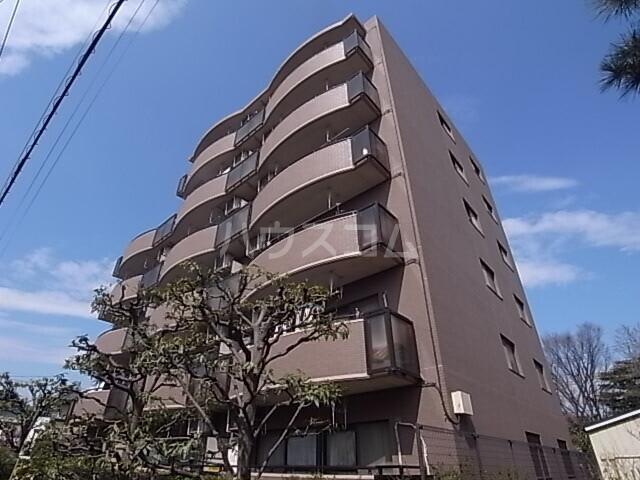 グレースサワ