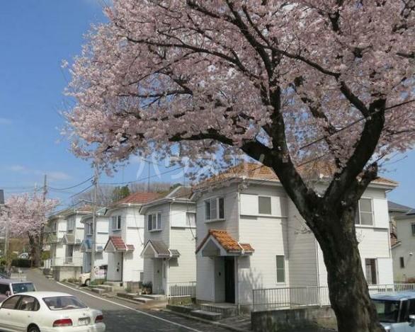 横浜線 橋本駅(神奈川) 徒歩12分  築39年(4DK)