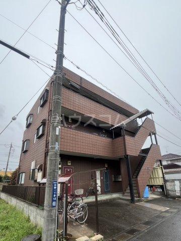 グリーン杉