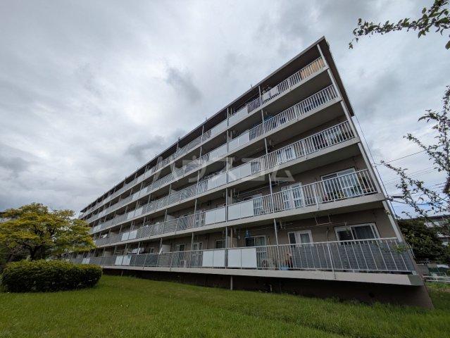 高津団地6街区9号棟(2LDK/5階)