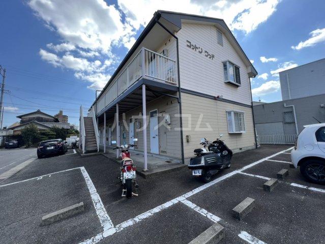 コットンウッド
