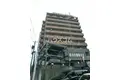 ドリーム・ピア
