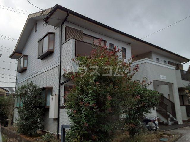 パールハイムB