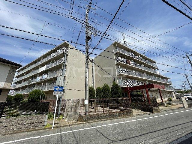 アルカディア岸