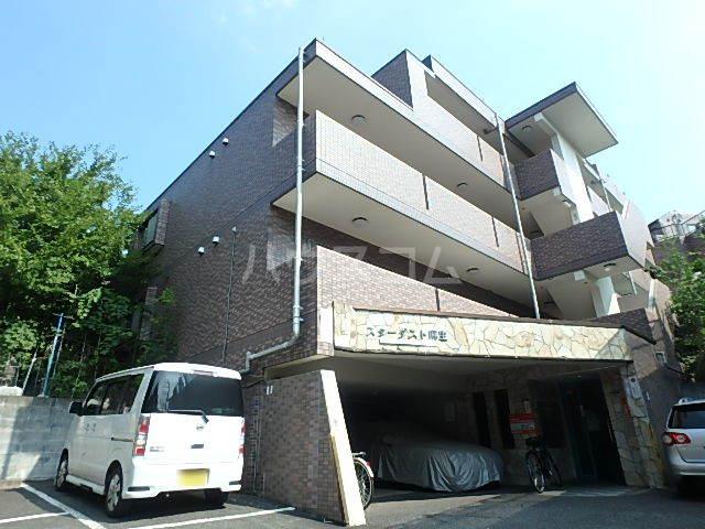 スターダスト柿生