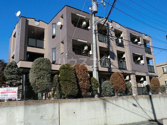 セレニーテ