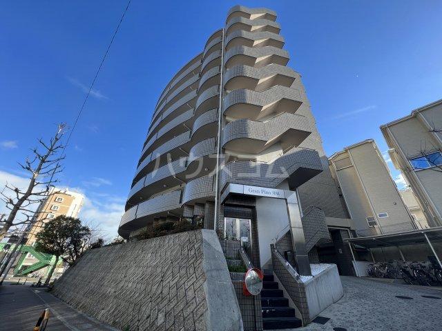 GRANPINO柴原