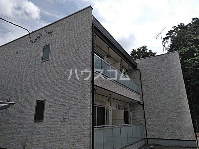リブリミッドサマー