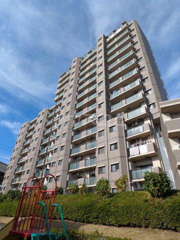 ベルドゥムール川口東