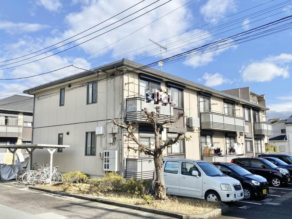 カメリアC