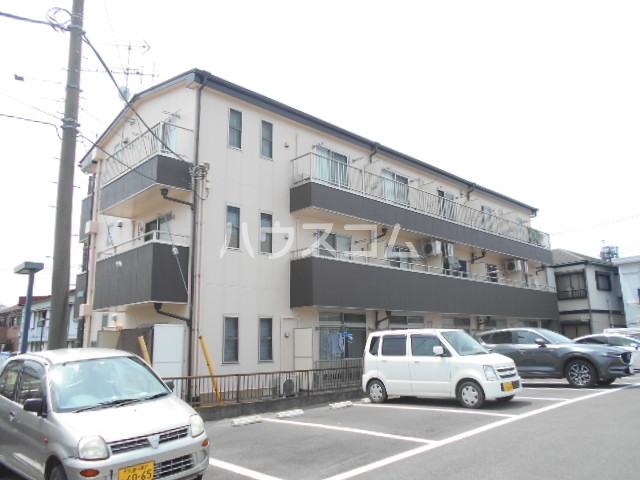 アイリッシュコート