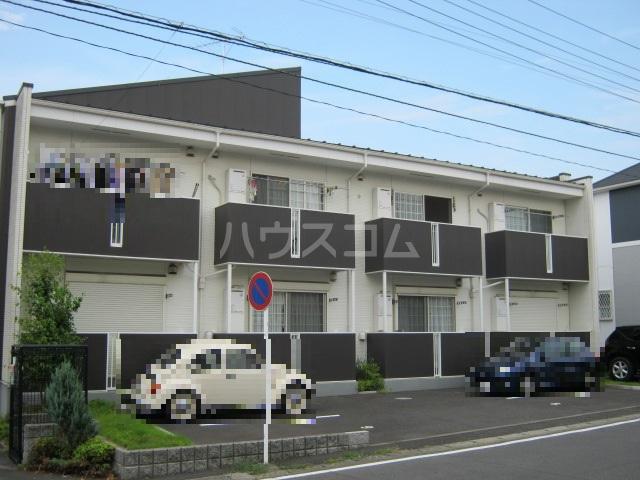 パピヨン橘