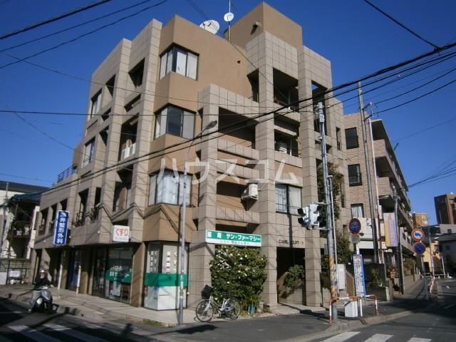 キャメルコート・Y