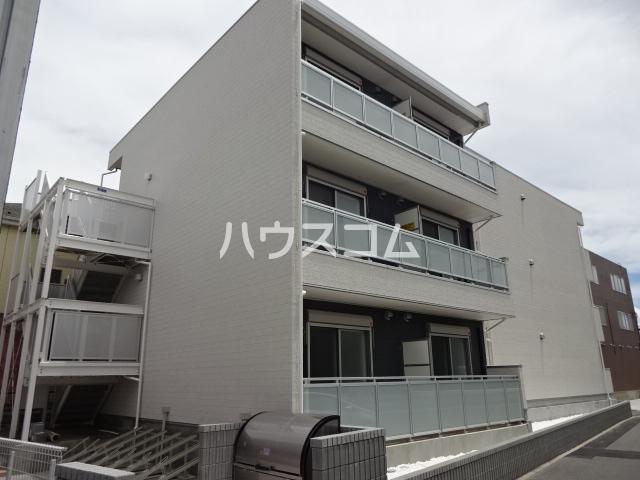 リブリ・サンフラワー14