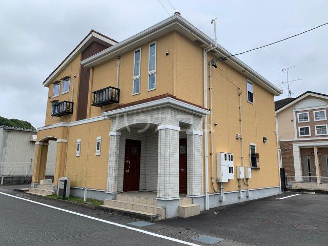 フリージア