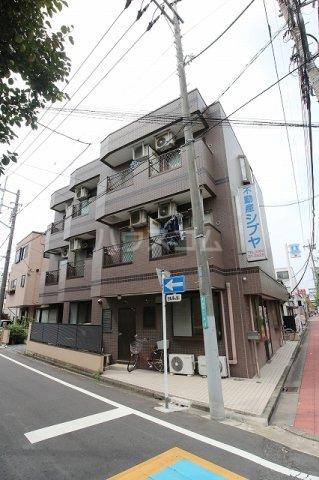 セントポーリア