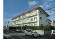 シャインクロコ