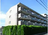 ゼファーシャン・ティオン蘇我壱