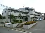 ルネッサンス小手指Ⅲ