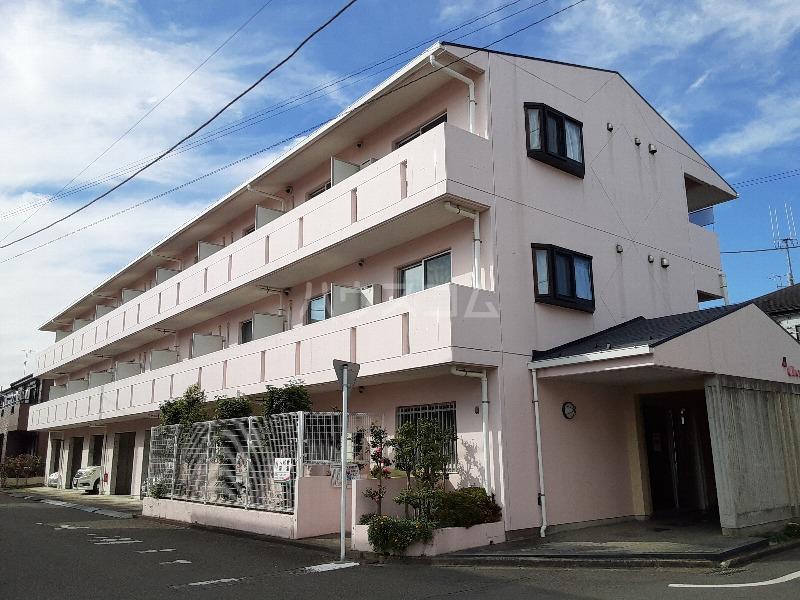チェリーパイⅡ