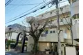 メイプル国立