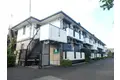 カターラローズ