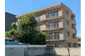 ライブパレス花水木
