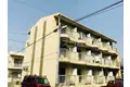 シャトレ高柳