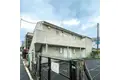 ハイ・ピュア野沢
